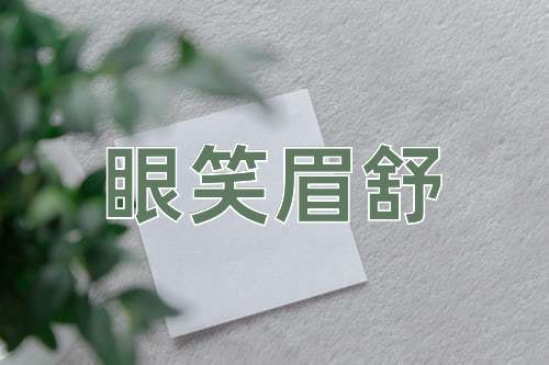 成语眼笑眉舒