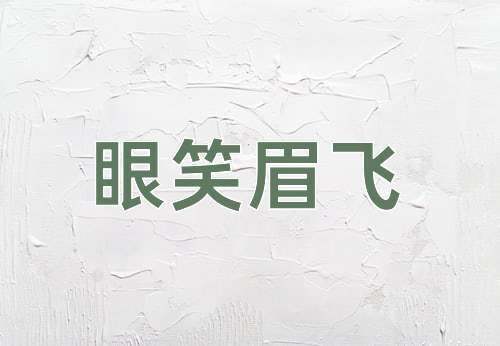 成语眼笑眉飞