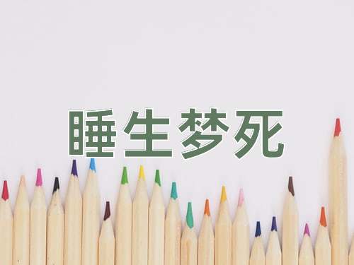 成语睡生梦死