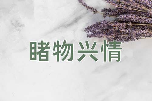 成语睹物兴情
