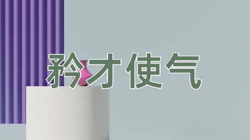 成语矜才使气