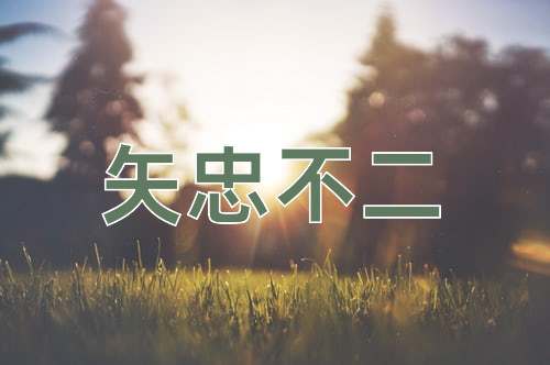 成语矢忠不二
