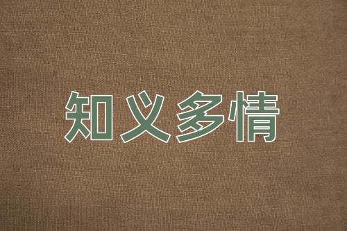 成语知义多情