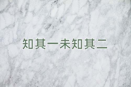 成语知其一未知其二