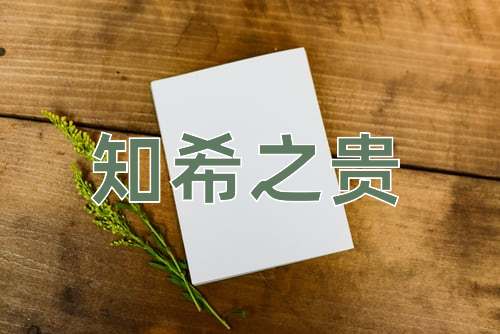 成语知希之贵