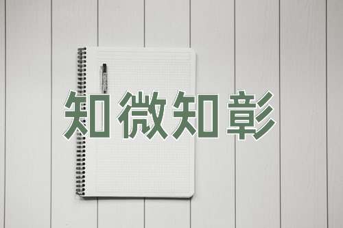 成语知微知彰