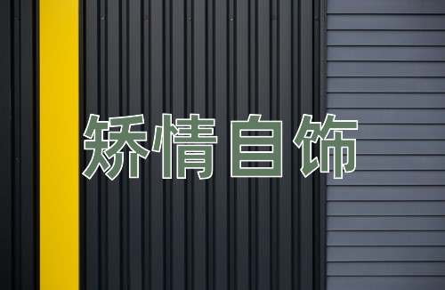 成语矫情自饰