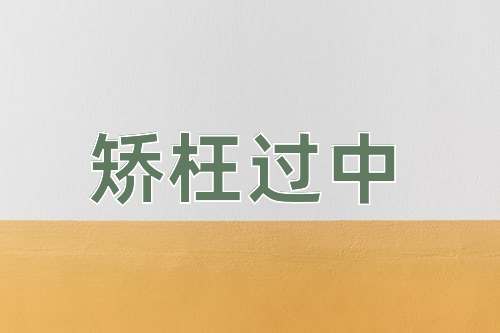 成语矫枉过中