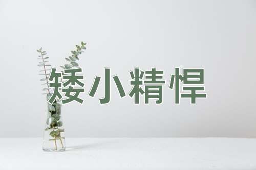 成语矮小精悍