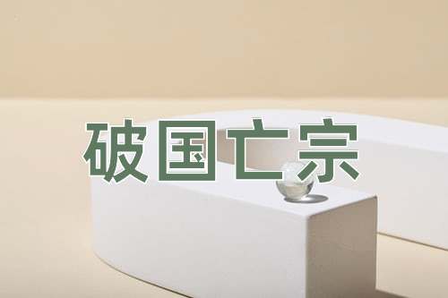 成语破国亡宗