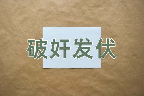 成语破奸发伏