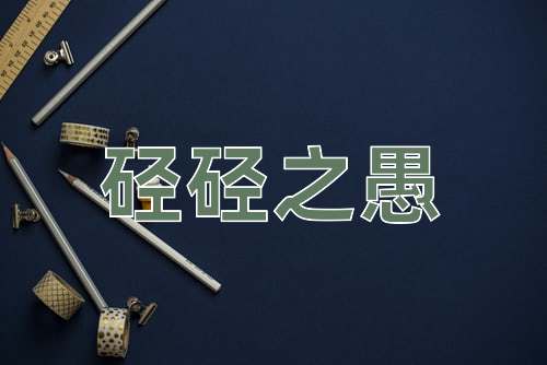 成语硁硁之愚