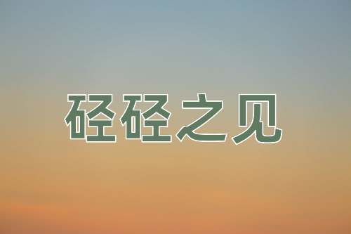 成语硁硁之见