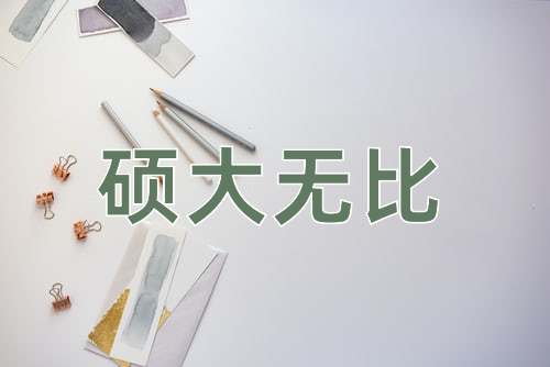 成语硕大无比
