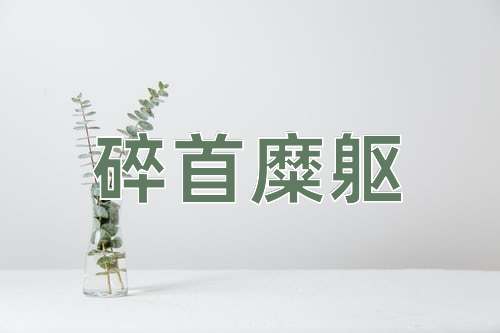 成语碎首糜躯