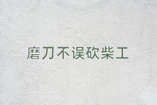 成语磨刀不误砍柴工