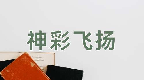成语神彩飞扬