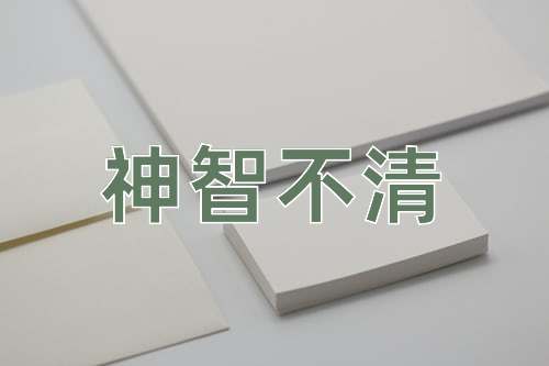 成语神智不清