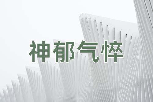 成语神郁气悴