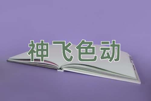 成语神飞色动