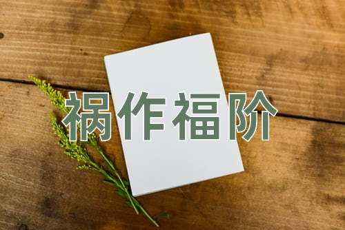 成语祸作福阶