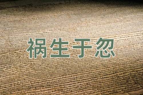 成语祸生于忽