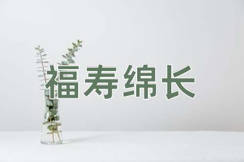 成语福寿绵长