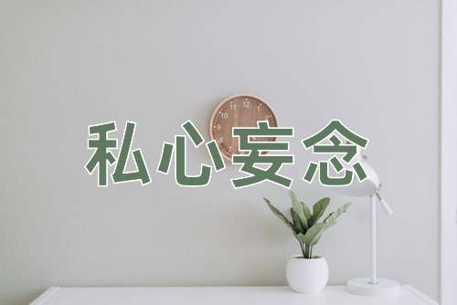 成语私心妄念