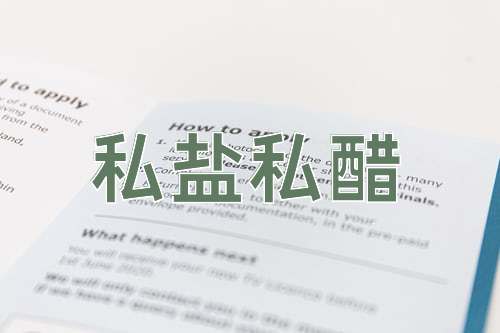成语私盐私醋