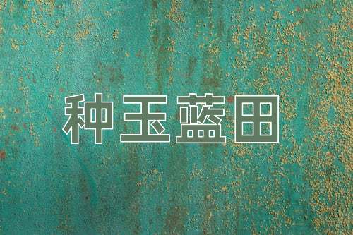 成语种玉蓝田