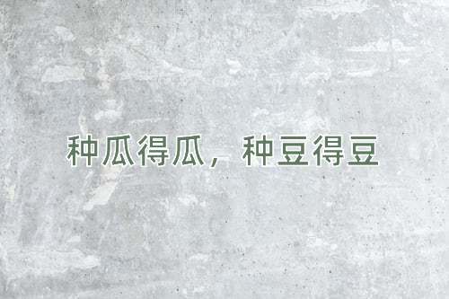 成语种瓜得瓜，种豆得豆