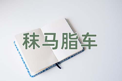 成语秣马脂车