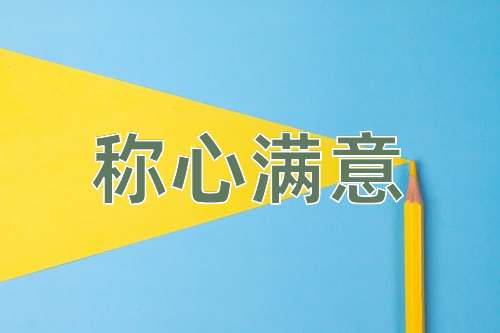 成语称心满意