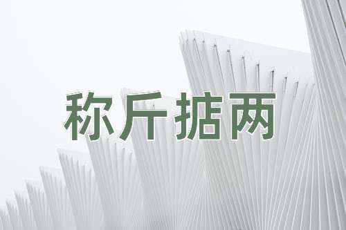 成语称斤掂两