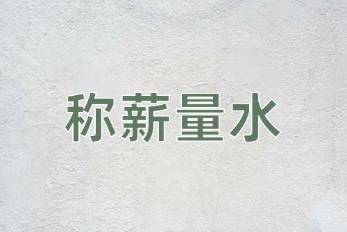 成语称薪量水