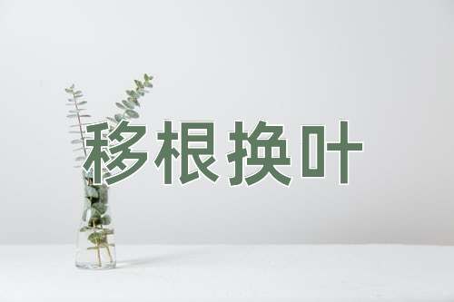 成语移根换叶