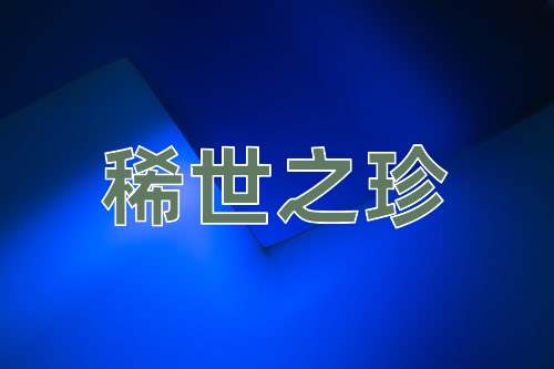 成语稀世之珍