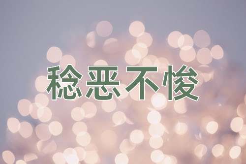 成语稔恶不悛
