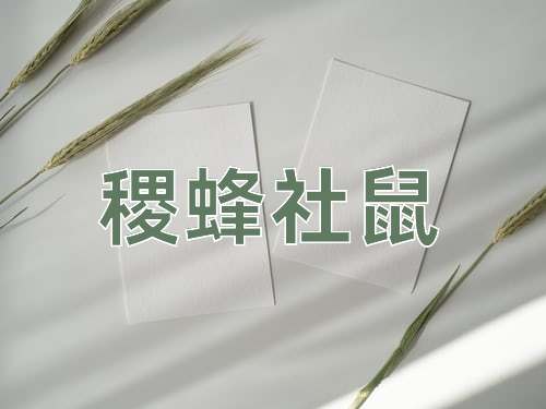 成语稷蜂社鼠