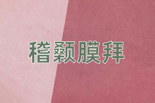 成语稽颡膜拜