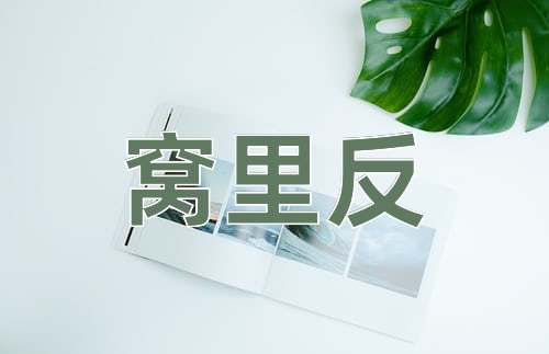 成语窝里反