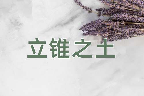 成语立锥之土
