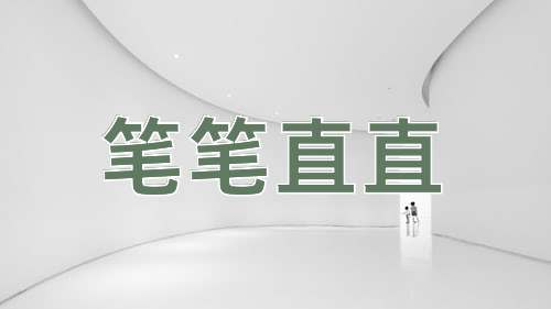 成语笔笔直直
