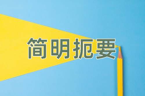 成语简明扼要