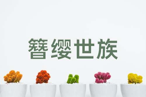 成语簪缨世族