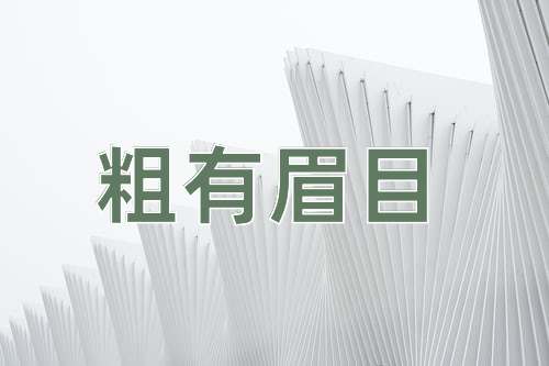 成语粗有眉目