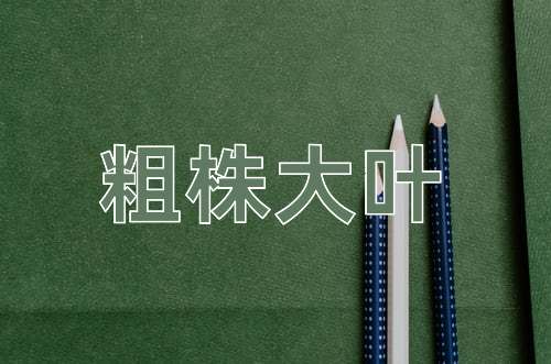 成语粗株大叶