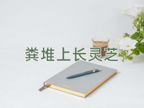 成语粪堆上长灵芝