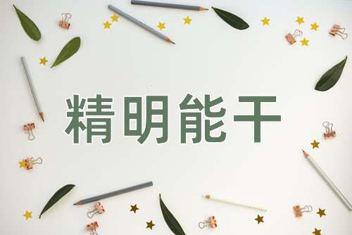 成语精明能干