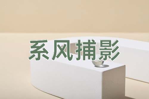 成语系风捕影